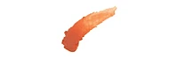 Sun Bum Tinted Sunscreen Lip Balm Spf 15, 0.15 oz.