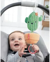 Skip Hop Farmstand Jitter Cactus Baby Toy