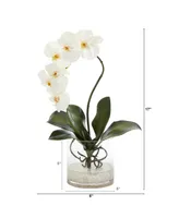 Nearly Natural Phalaenopsis Orchid Artificial Arrangement in Glass Vase