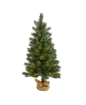 Nearly Natural Fraser Fir "Natural Look" Artificial Christmas Tree with 50 Clear Led Lights, Pinecones, A Burlap Base and 90 Bendable Branches