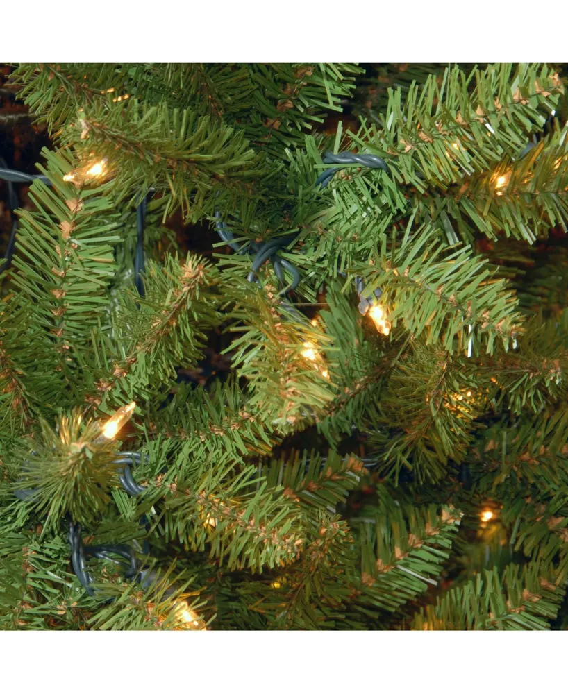National Tree 6.5' Kingswood Fir Hinged Pencil Tree with 250 Clear Lights
