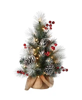 National Tree Company Snowy Glacier Pine Tree with Battery Operated Led Lights