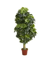 Schefflera Artificial Tree Real Touch