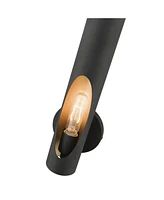 Novato 1 Light Single Sconce