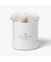 Infinity Roses Round Box of White Real Roses Preserved To Last Over A Year