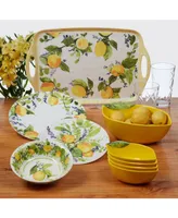 Certified 3-d Lemon 5 Piece Melamine Serving Bowl Set