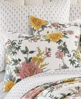 Levtex Briar Quilt Sets