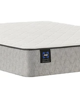 Sealy Essentials Osage 10" Firm Mattress