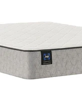 Sealy Essentials Osage 10 Firm Mattress Collection