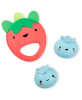 Skip Hop Farmstand Berry Cute Band Baby Toy