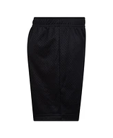 Nike Little Boys Mesh Shorts