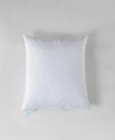 Martha Stewart Feather Firm 2-Pack Pillow