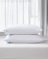 Martha Stewart White Feather Down Medium Firm Lyocell Around 2 Pack Pillows