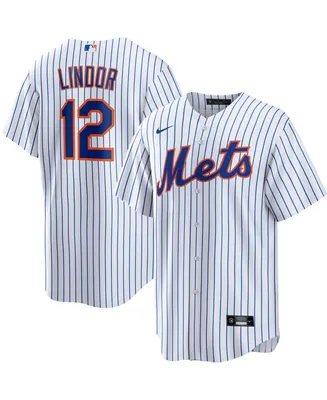 Nike Preschool Boys and Girls Francisco Lindor Black New York Mets  Alternate Replica Player Jersey