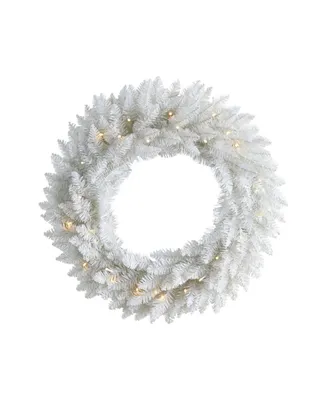 Colorado Spruce Artificial Christmas Wreath with 179 Bendable Branches and 35 Warm Led Lights, 24"