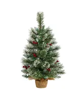 Snow Tipped Pine and Berry Artificial Christmas Tree with 35 Warm Led Lights in Burlap Base, 2'