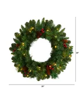 Frosted Pine Artificial Christmas Wreath with Pinecones, Berries and 35 Warm Led Lights, 20"