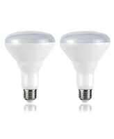 Smart BR30 Dimmable Light Bulb - Dimmable Color Changing Led, Set of 2