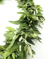 Magnolia Supply Co Fresh Bay Leaf and Olive Holiday Garland, 6'