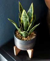 12" Artificial Snake Plant in 4.75" Ceramic Planter on Wood Stand