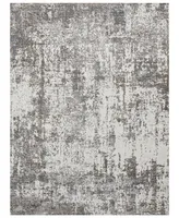 Amer Rugs Savannah Beatrice 5'3" x 7'9" Area Rug