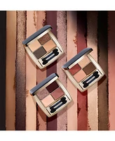 Estee Lauder Pure Color Envy Luxe EyeShadow Quad