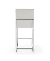 Element 24" Counter Stool, Set of 2