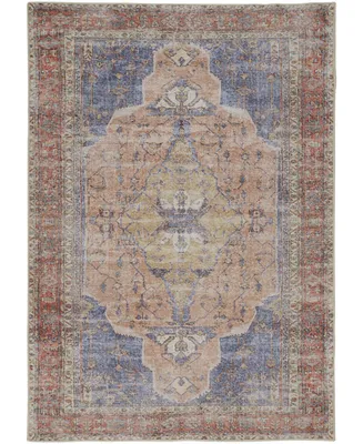 Feizy Percy R39AP 2' x 3' Area Rug