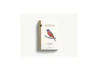 Birds: An Illustrated Field Guide by Alice Sun