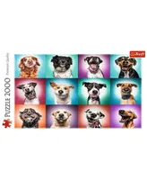 Trefl Jigsaw Puzzle, Funny Dog Portraits Ii, 2000 Piece