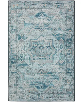 D Style Basilic BAS5 8' x 10' Area Rug