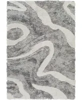 Livabliss Alta Shag ASG2303 5'3" x 7' Area Rug