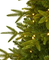 Colorado Mountain Fir Natural Look Artificial Christmas Tree with Lights and Bendable Branches, 78"