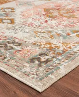 Lr Home Heirloom HRL81475 5'3" x 7'10" Outdoor Area Rug