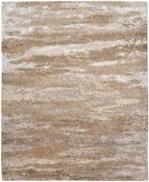 Amer Rugs Synergy Winfall 2' x 3' Area Rug