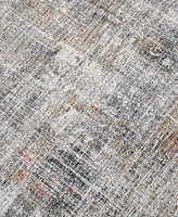 Amer Rugs Vermont Erysse 5'3" x 7'6" Area Rug