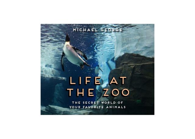 Life at the Zoo by Michael George