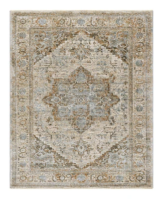 Livabliss Brunswick Bwk-2318 7'10" x 10'3" Area Rug