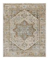 Livabliss Brunswick Bwk-2318 7'10" x 10'3" Area Rug