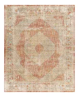 Surya Aspendos Aps- 7'10" x 10'3" Area Rug