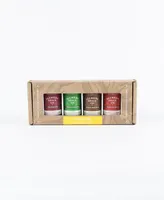 Alchemy Spice Fiesta Spice Blend Collection Gift Set, 4 Piece