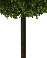 Nearly Natural 3.5' Boxwood Double Ball Artificial Topiary Tree Uv Resistant