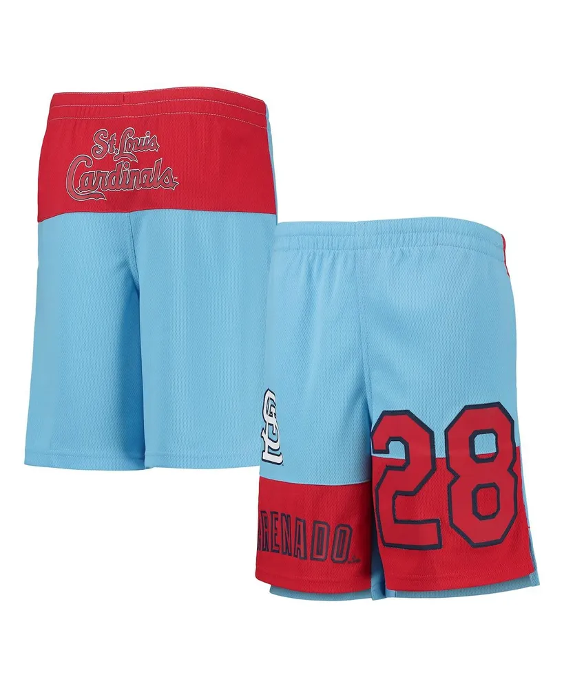 Vladimir Guerrero Jr. Toronto Blue Jays Youth Pandemonium Name & Number  Shorts - Royal