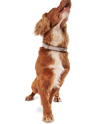 Barbour Reflective Tartan Adjustable-Fit Dog Collar