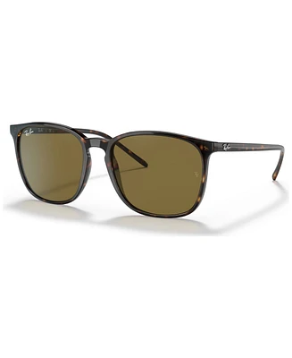 Ray-Ban Men's Low Bridge Fit Sunglasses, RB4387F 55