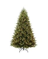 6.5' Pre-Lit Westford Spruce Tree with 500 Underwriters Laboratories Clear Incandescent Lights, 1916 Tips