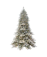 Puleo 6.5FT Pre-Lit Flocked Royal Majestic Colorado Fir Downswept Tree