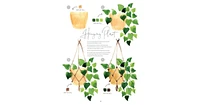 Watercolor the Easy Way