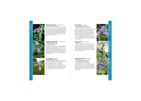 Wildflowers of New England by Ted Elliman