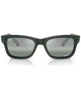 Ray-Ban Men's Polarized Sunglasses, RB228358-yzp